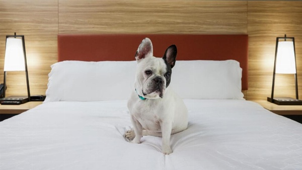 Candlewood Suites Junction City - Ft. Riley image 18